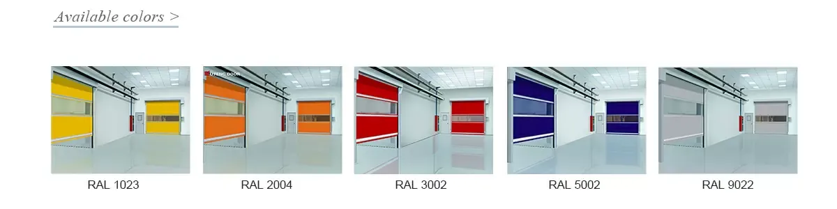 d_01.jpg